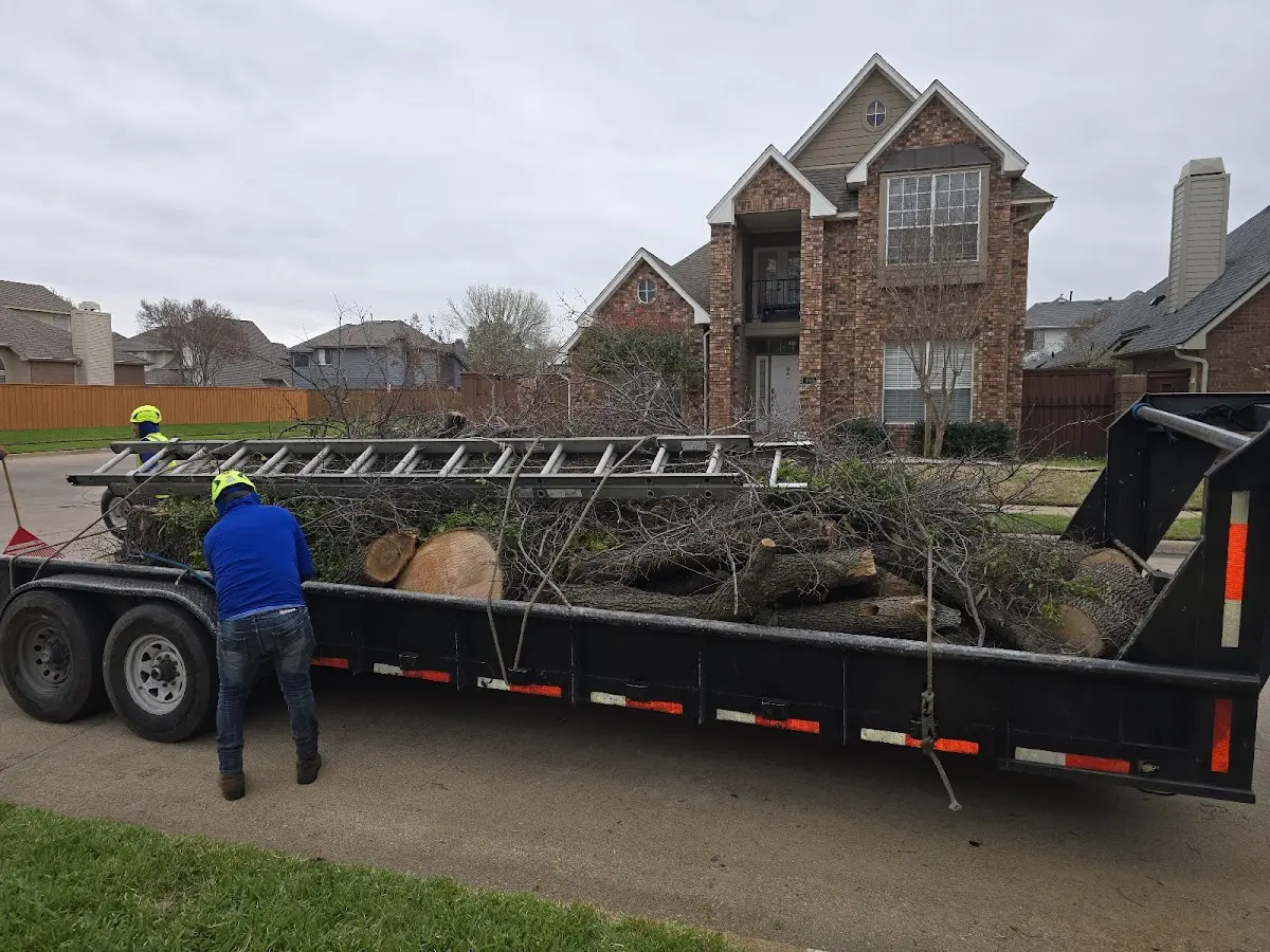 Expert Lot Clearing with proper safety equipment in Tiller